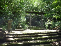 Japanese Shrine left abandoned on Marianas Islands Photo by Devin Pike 