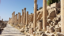 Jerash Jordan  Roman Roads  x 