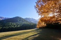 Jeti-gz Valley  Valley of Four Seasons Kyrgyzstan 