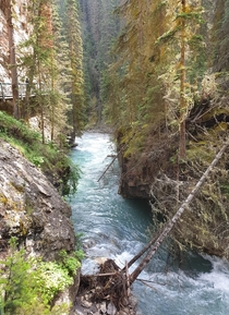Johnston Canyon is such a beautiful place 