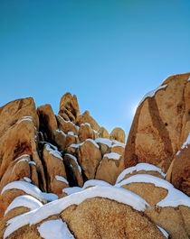 Joshua tree national park is more than just the trees 