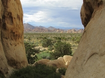 Joshua Tree National Park looking out from Jumbo Rocks 