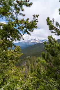 June in Rocky Mtn National Park CO 