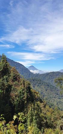Jungle hike from Xela Guatemala Volcano Santa Maria standing tall over the clouds OC 