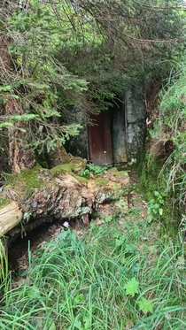 Just a door somewhere deep in the woods