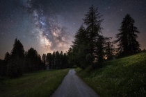 Just a forest road under a beautiful milky way 