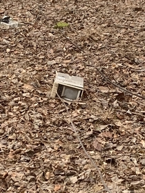 Just an an abandoned microwave Banished from its house for reasons unknown