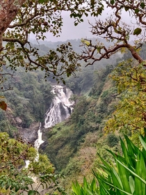 Kalhatti Waterfalls Mudumalai Tiger Reserve 