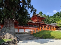 Kasuga-taisha Shrine in Nara Japan 