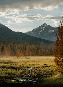 Kawuneeche Valley in Rocky Mountain National Park CO 