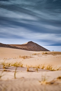 Kelso Dunes CA 