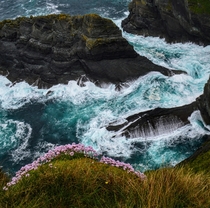 Kerry Cliffs Ireland 