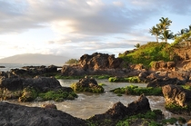 Kihei Maui Hawaii  x  