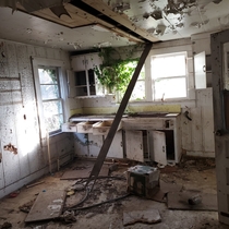 Kitchen of an abandoned house I found