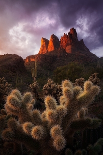 Known as the jumping cactus for a reason these cholla are as painful as they are beautiful Sunset in the Superstition Mountains Arizona  andrewhelmerphoto