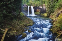Koosah Falls Oregon in the lush forest