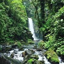 La Paz Waterfall Gardens in Costa Rica 