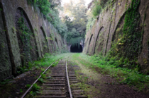 La Petite Ceinture an abandoned railway in Paris France 