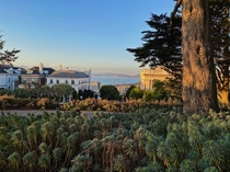 Lafayette Park in San Francisco CA  Where is your favorite park