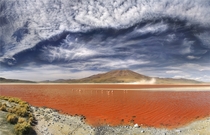 Laguna Colorada Bolivia The reddish color is caused by red sediments and algae 