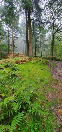Lake District National Park England 