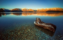 Lake Heron New Zealand 