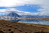 Lake in Atacama desert 