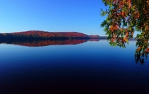 Lake of Two Rivers Algonquin Park Canada in Fall 