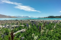 Lake Taupo - New Zealand