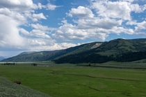 Lamar valley Yellowstone National Park 