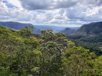 Lamington National Park Queensland 