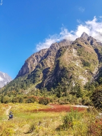 Langtang Valley Nepal 