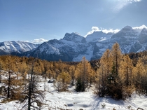 Larch Valley Banff Canada October   