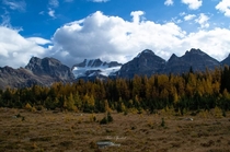 Larch Valley Banff National Park  OC