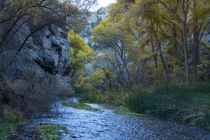 Last Days of Autumn in Remote Central Arizona Canyon 