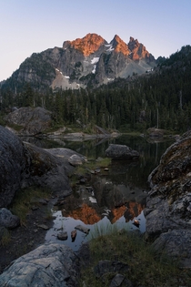 Last light just off the Pacific Crest Trail in Washington 