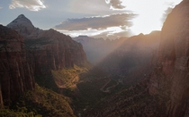 Last light shining through the canyon - Zion National Park Utah  IGcoreyraff