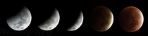 Last nights lunar eclipse captured using my  telescope 