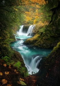 Last spring I posted a photo of Spirit Falls a beautiful waterfall on the Washington side of the Columbia River Gorge which you all seemed to really enjoy - heres what it looks like in fall 
