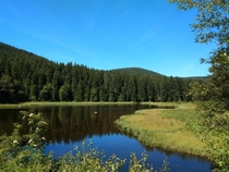 Last year I took this picture in the beautiful Schwarzwald Germany 