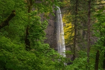 Latourell Falls Oregon 