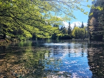 Laurelhurst parks small lake on a sunny day in Portland OR 