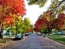 Lawrence Kansas USA Picture of Fall 