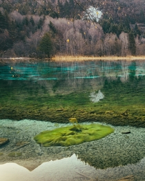 Layers of algae under the clear waters of the Five Flower Lake in Jiuzhaigou China 