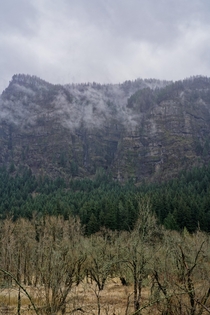 Layers of the Columbia River Gorge Oregon USA 