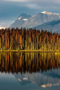 Leech Lake Jasper National Park Alberta Canada 