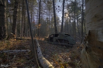 Left For Dead Deep In the Woods of Muskoka Ontario 