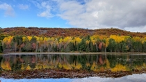 Letterkenny Ontario - Autumn Colours OC  x 