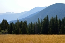 Lewis and Clark National Forest Montana 
