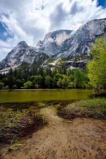 Life flowing Yosemite National Park CA 